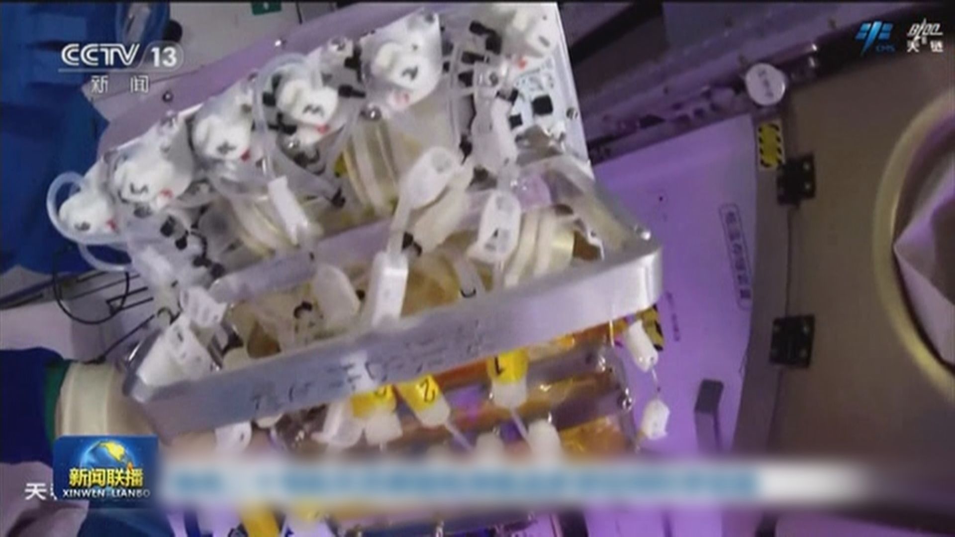 神舟二十號航天員有序推進多項太空科學實驗