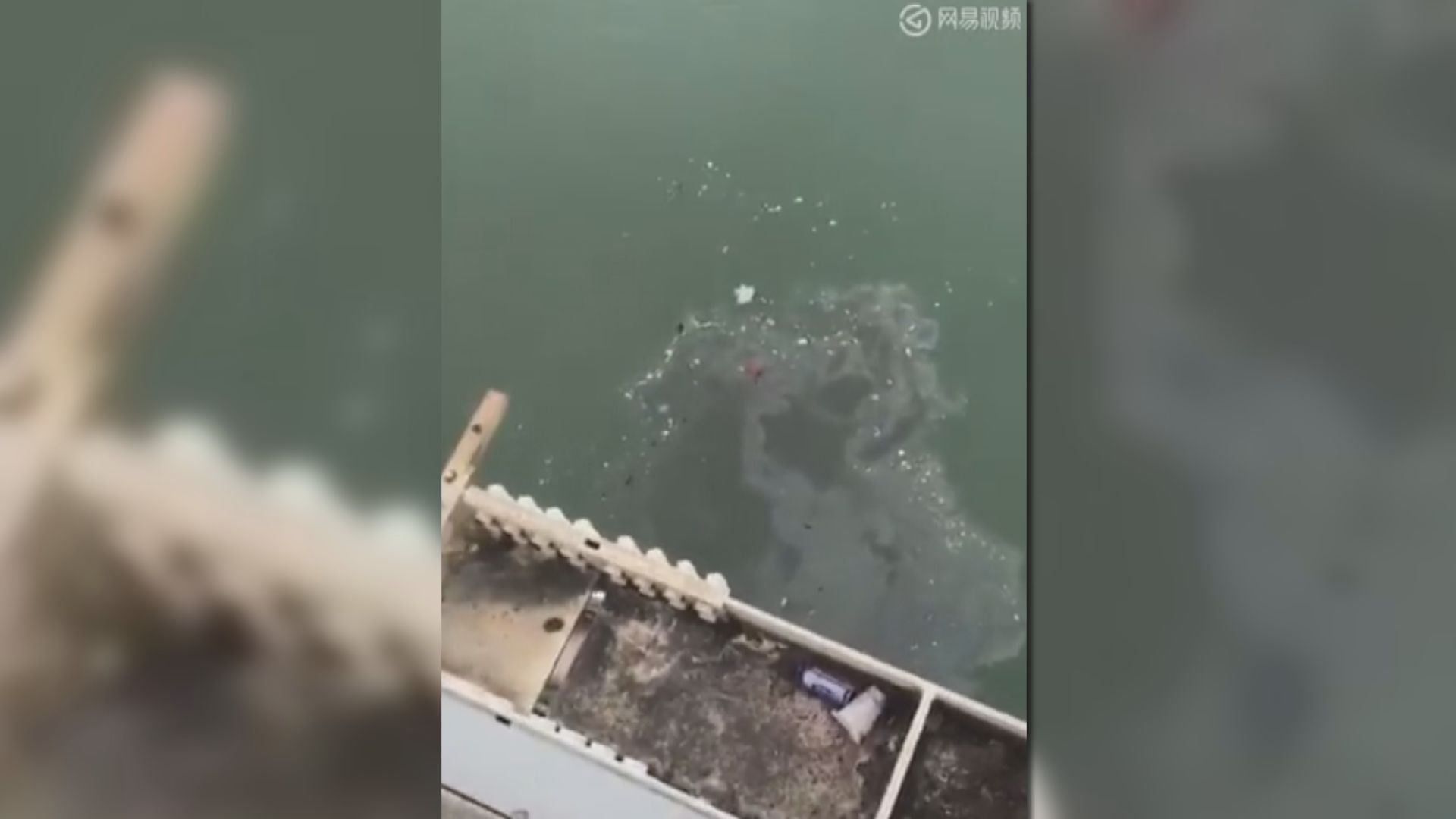 重慶有巴士墜江至少兩死