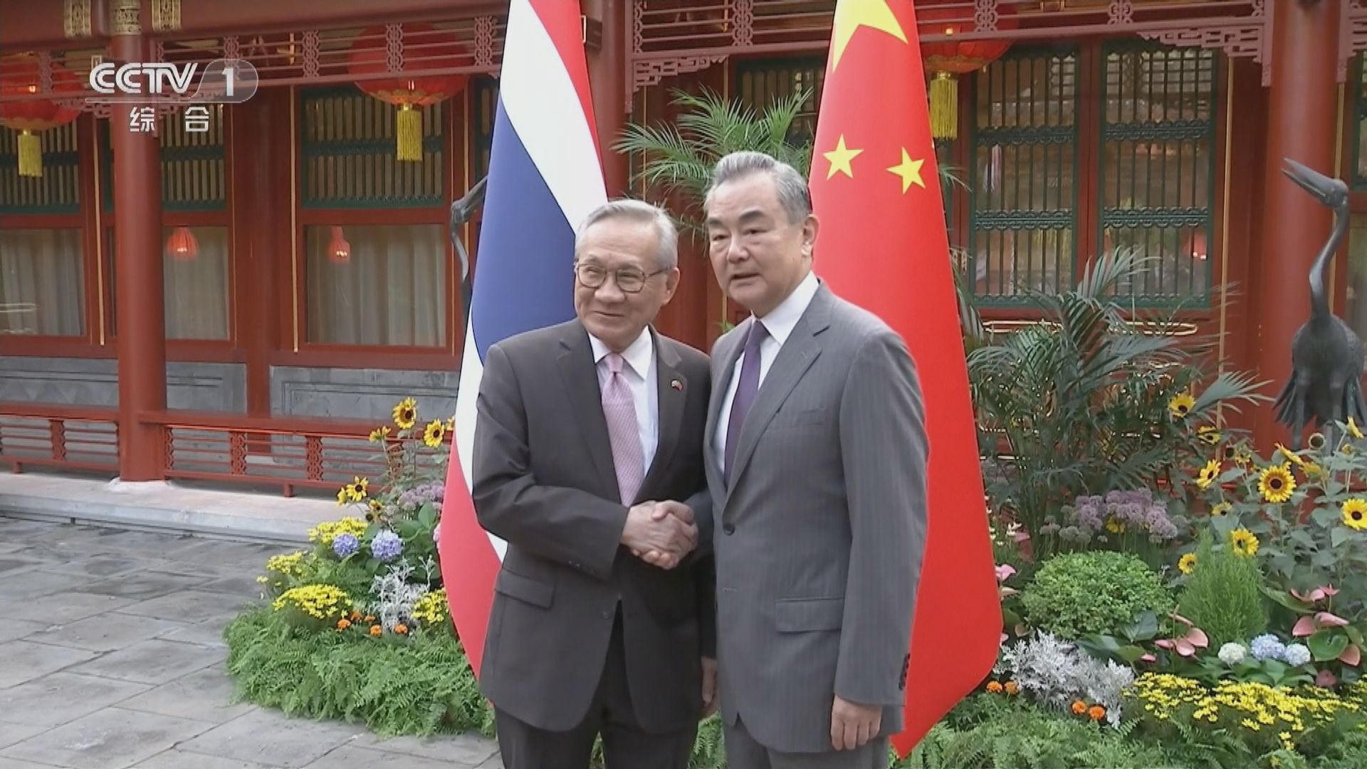 王毅晤泰國副總理會談 指要共同打擊電信詐騙