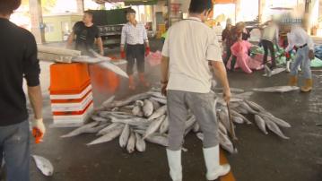 商務部：研究中止ECFA早期收獲農漁、汽車零配件等產品關稅減讓