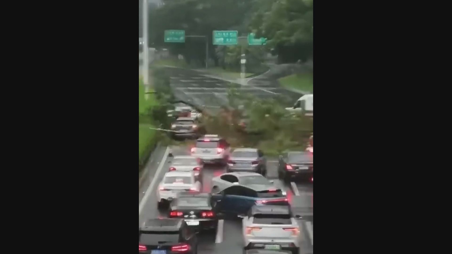 蘇拉登陸珠海 深圳塌樹壓中汽車據報一死兩傷