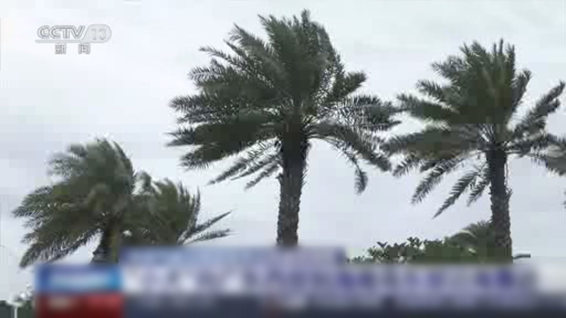 小犬逐漸向廣東西部到海南島東部沿海靠近