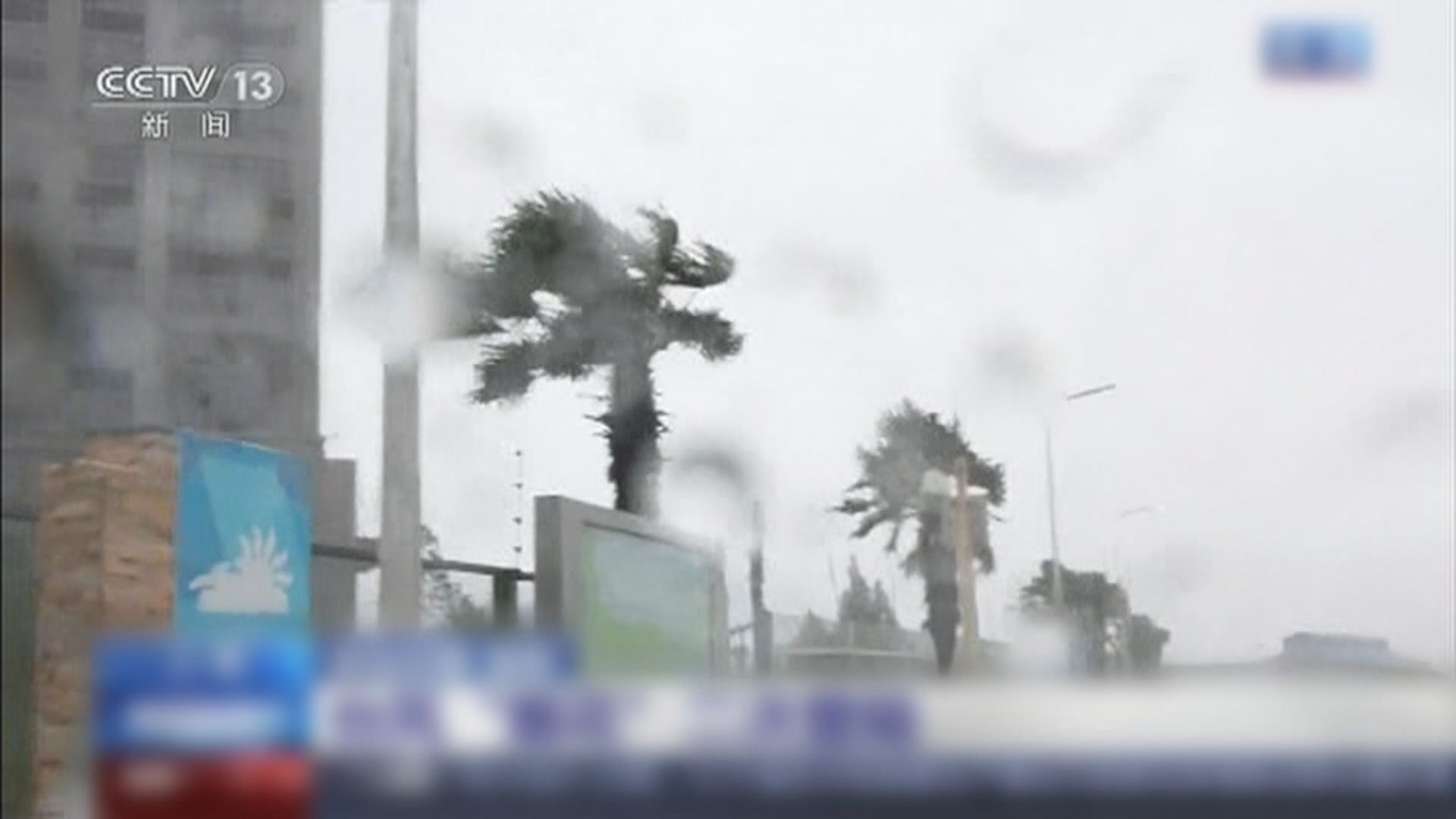 煙花再次登陸浙江嘉興　沿海15萬人已轉至安全地點