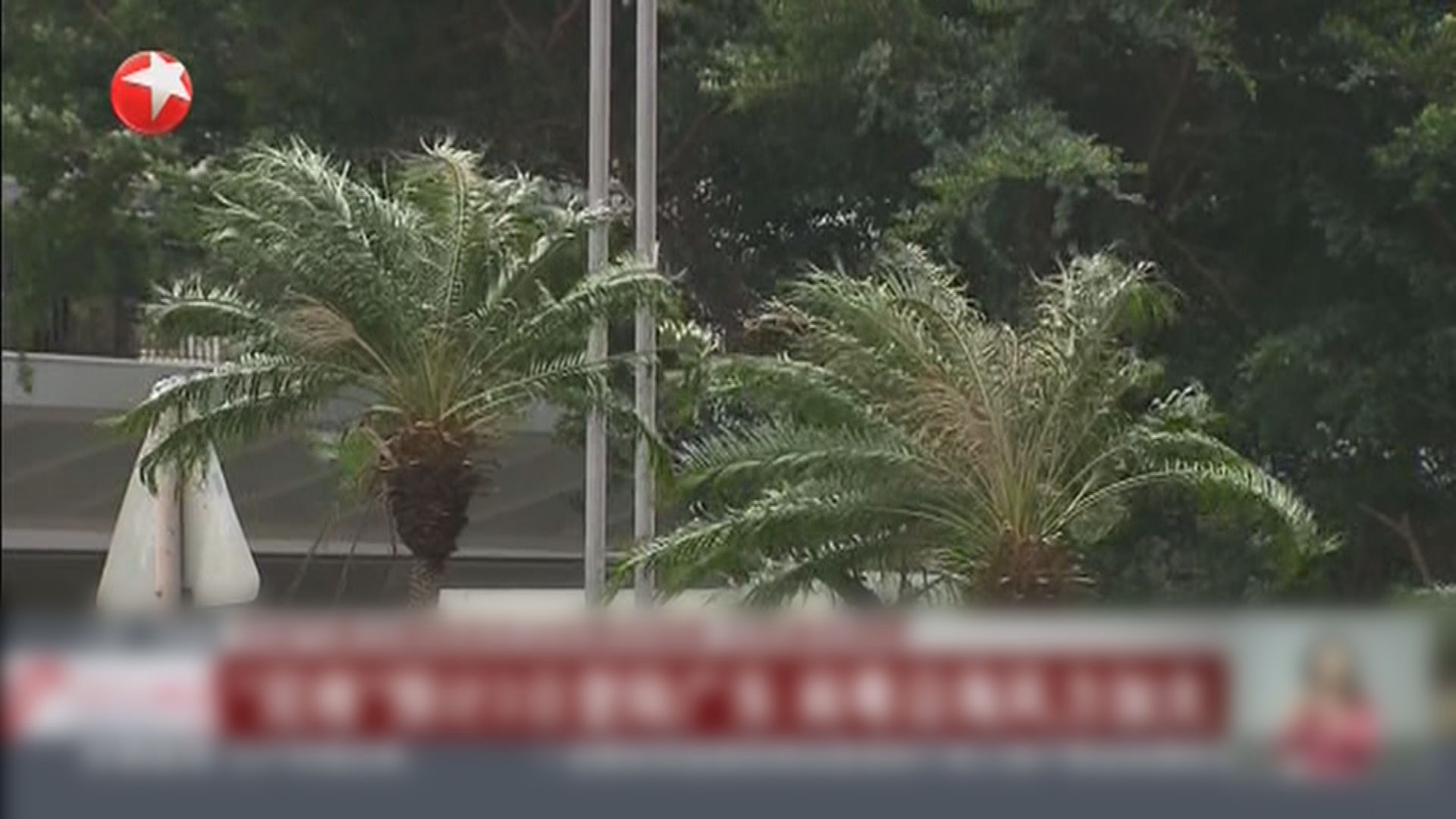 尼格明天或以熱帶低氣壓強度登陸廣東