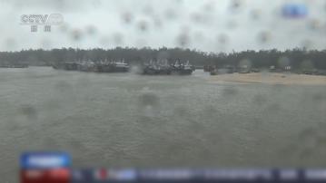 風暴蝴蝶中午在廣東沿海再次登陸