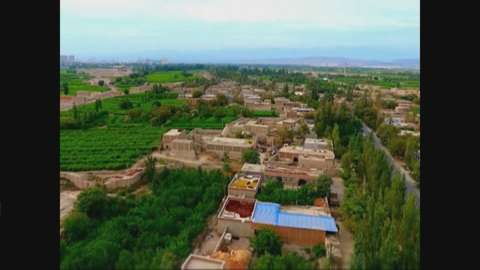 胡聯合：新疆的特別行動是要打擊恐怖罪行