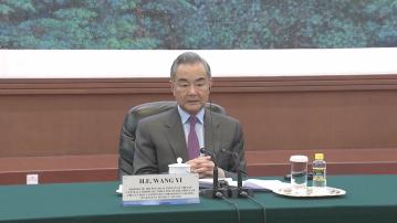 王毅：中國支持推動聯合國安理會改革