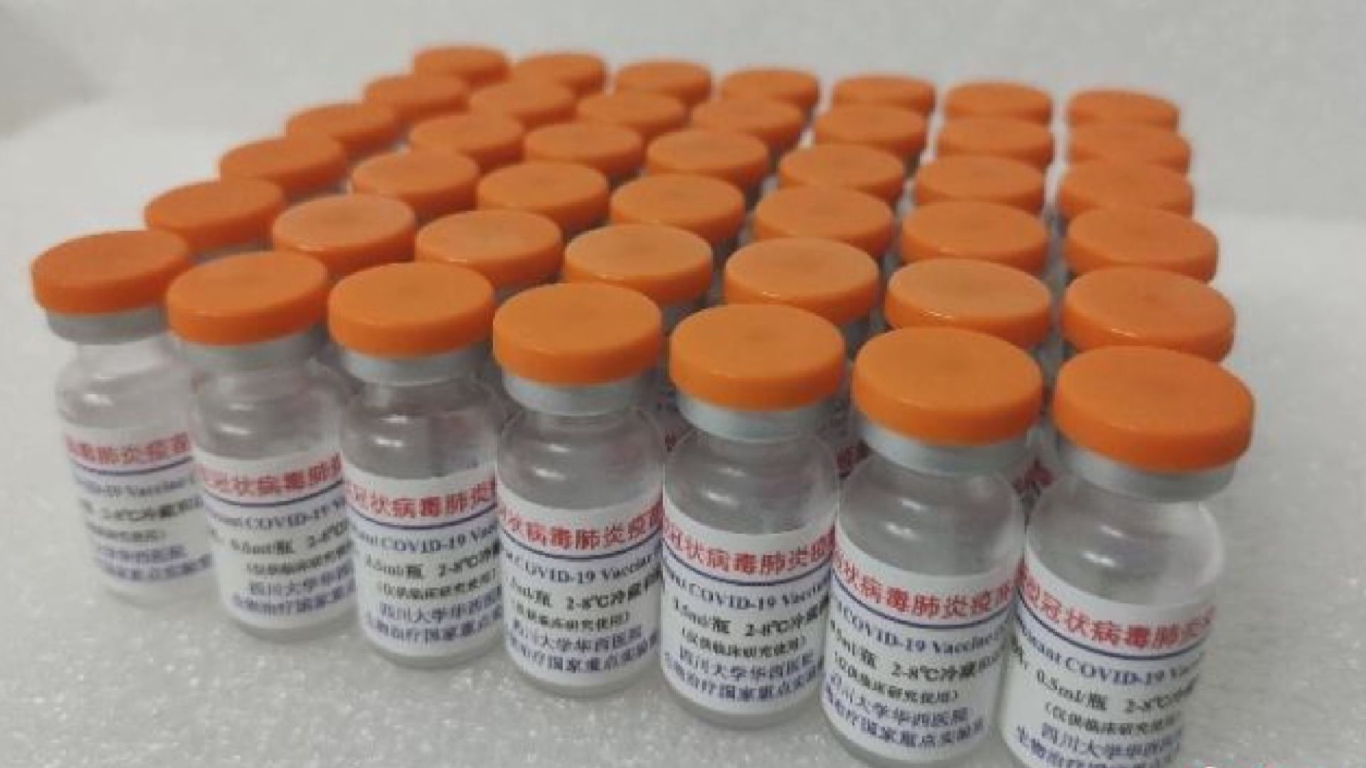 內地首個昆蟲細胞生產的新冠疫苗獲准臨床試驗