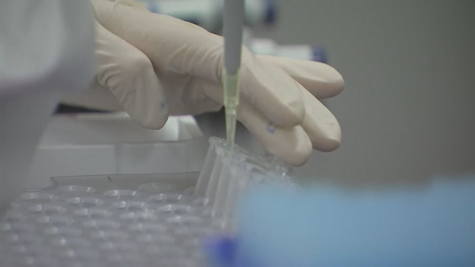 阿聯酋緊急批准應用內地一款新冠滅活疫苗