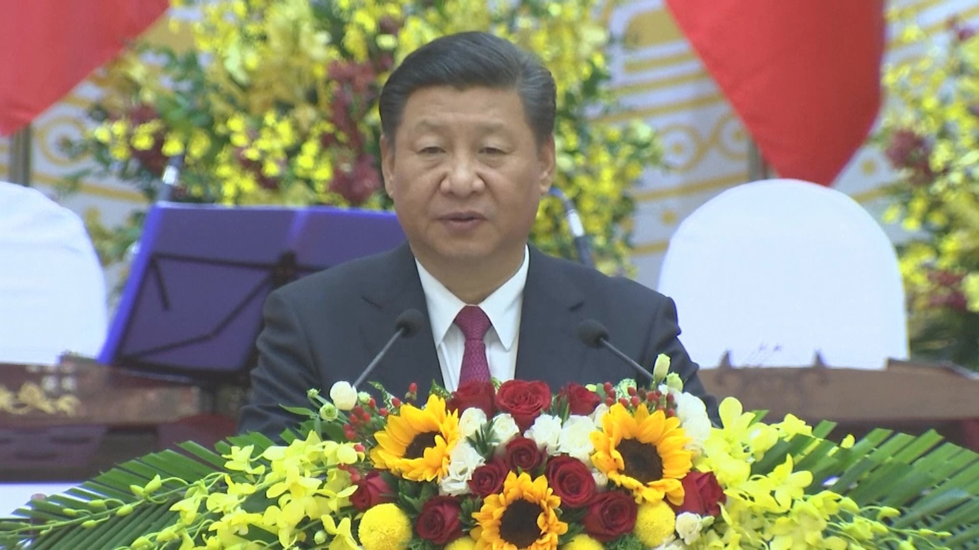 路透社：習近平可能本月底或下月初訪問越南