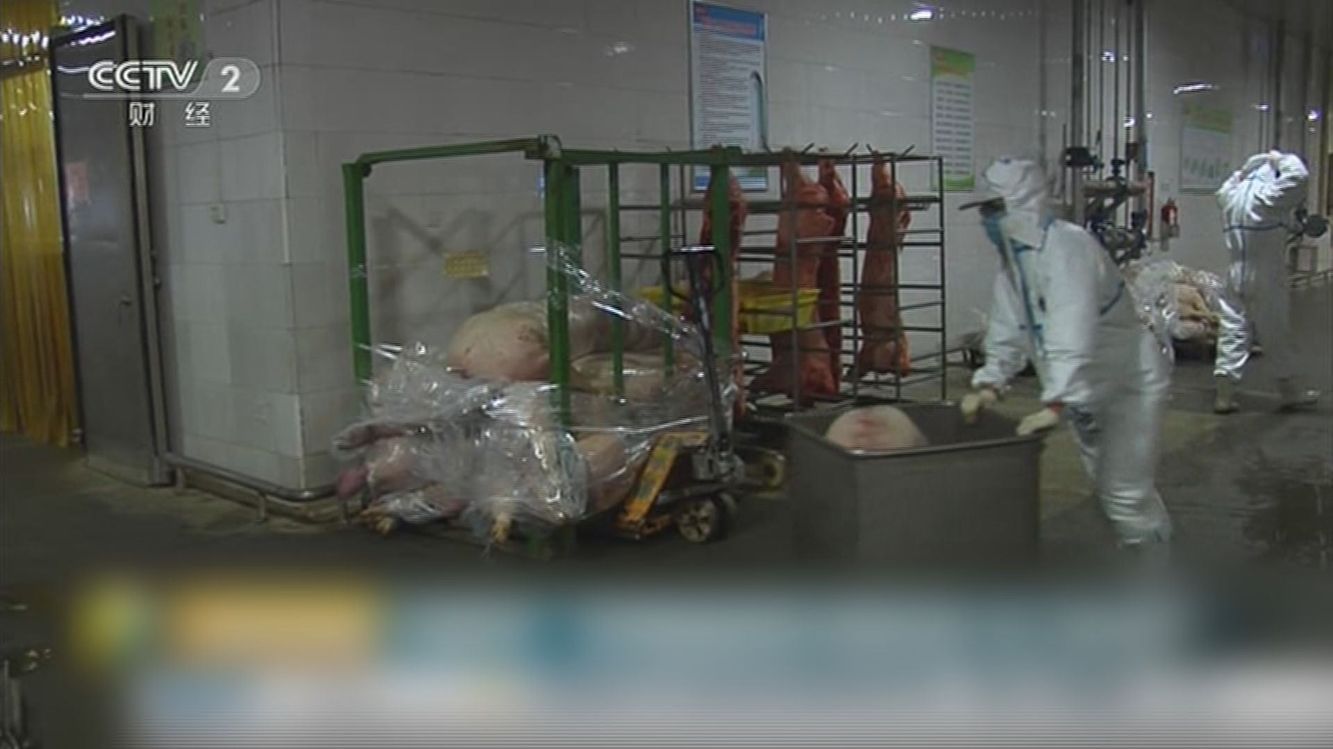 河南鄭州出現非洲豬瘟疫情