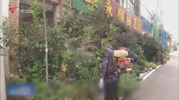 內地基孔肯雅熱疫情持續　美國計劃向中國發旅遊警示