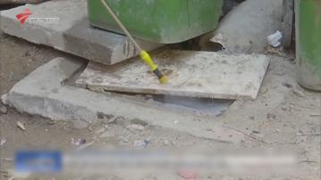 基孔肯雅熱｜內地疫情持續　美國計劃向中國發旅遊警示