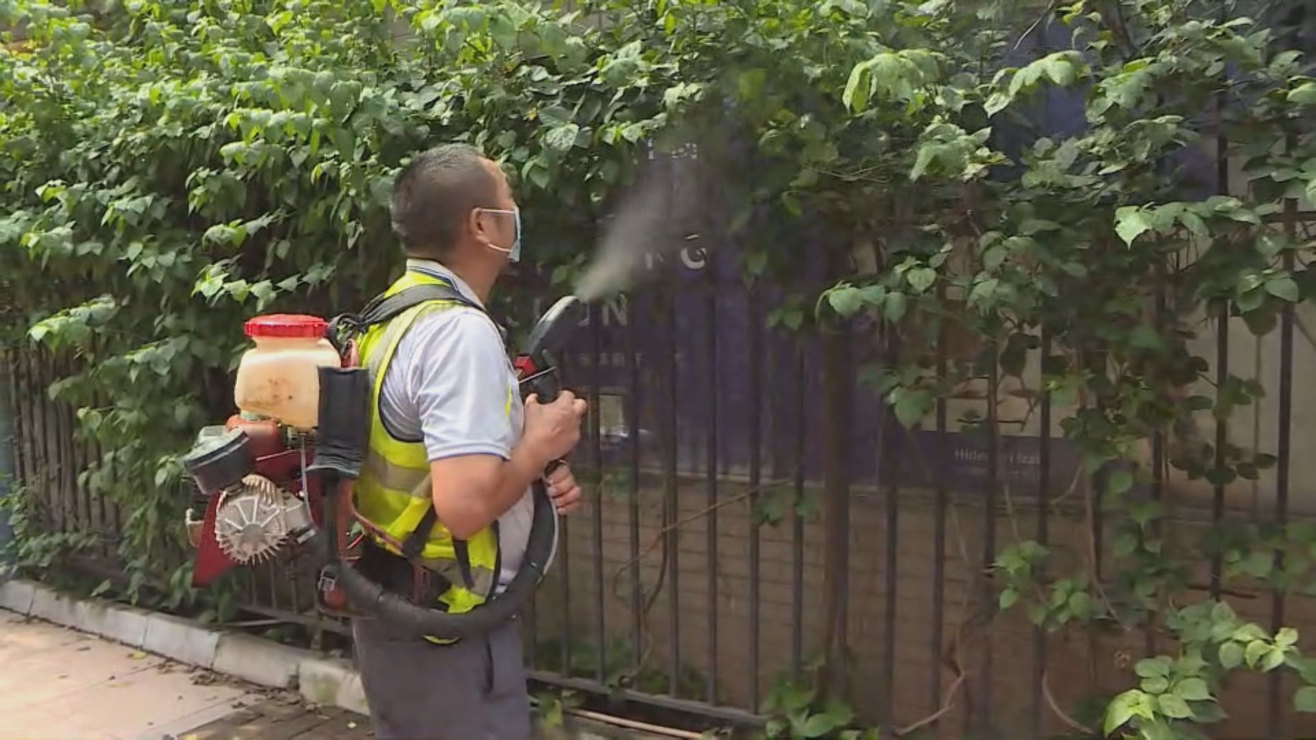 基孔肯雅熱｜廣東江門市疫情反彈　過去一周增逾二千宗病例