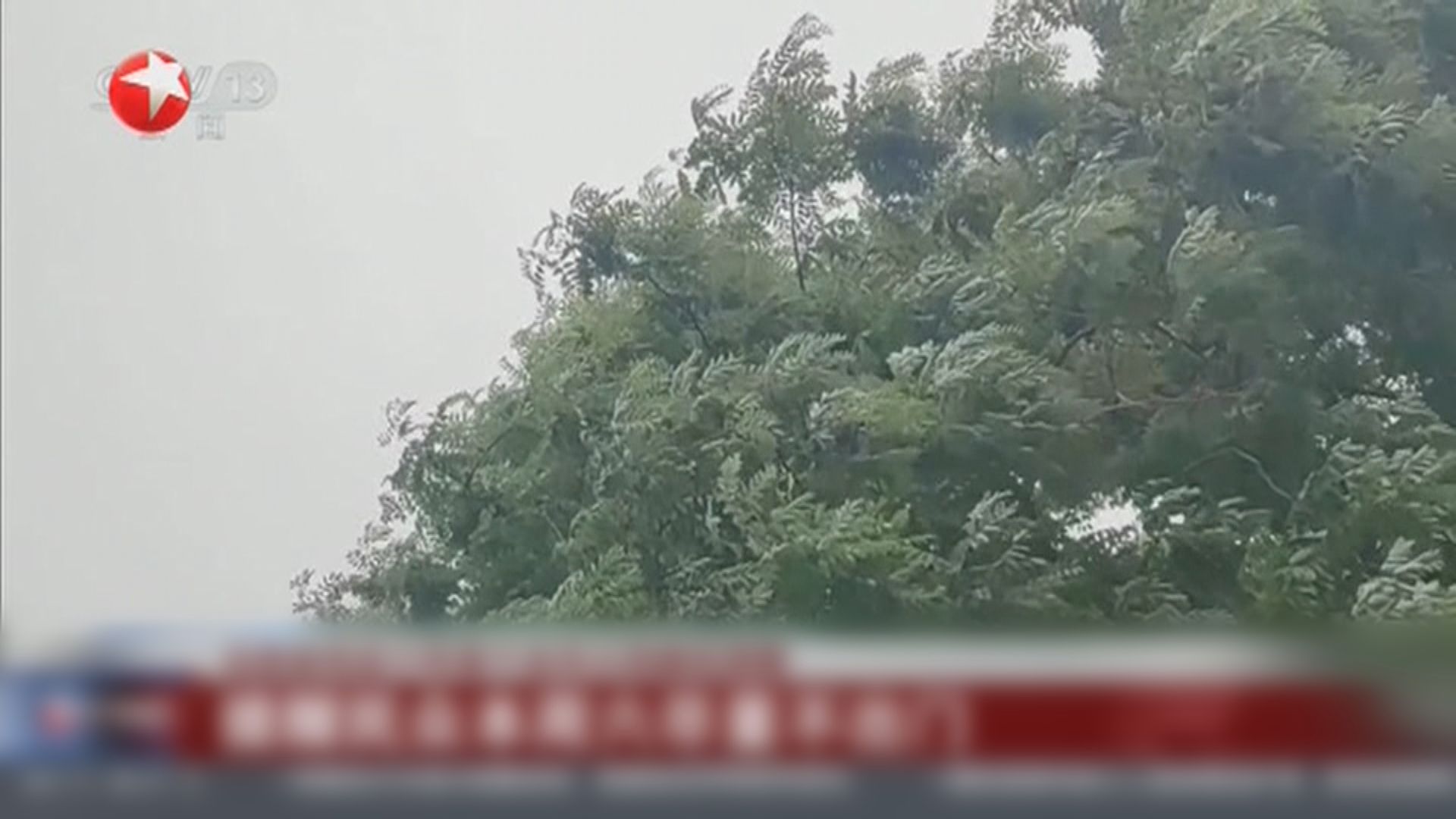 北京出現極端大風　專家建議體重少於50公斤市民不要出門