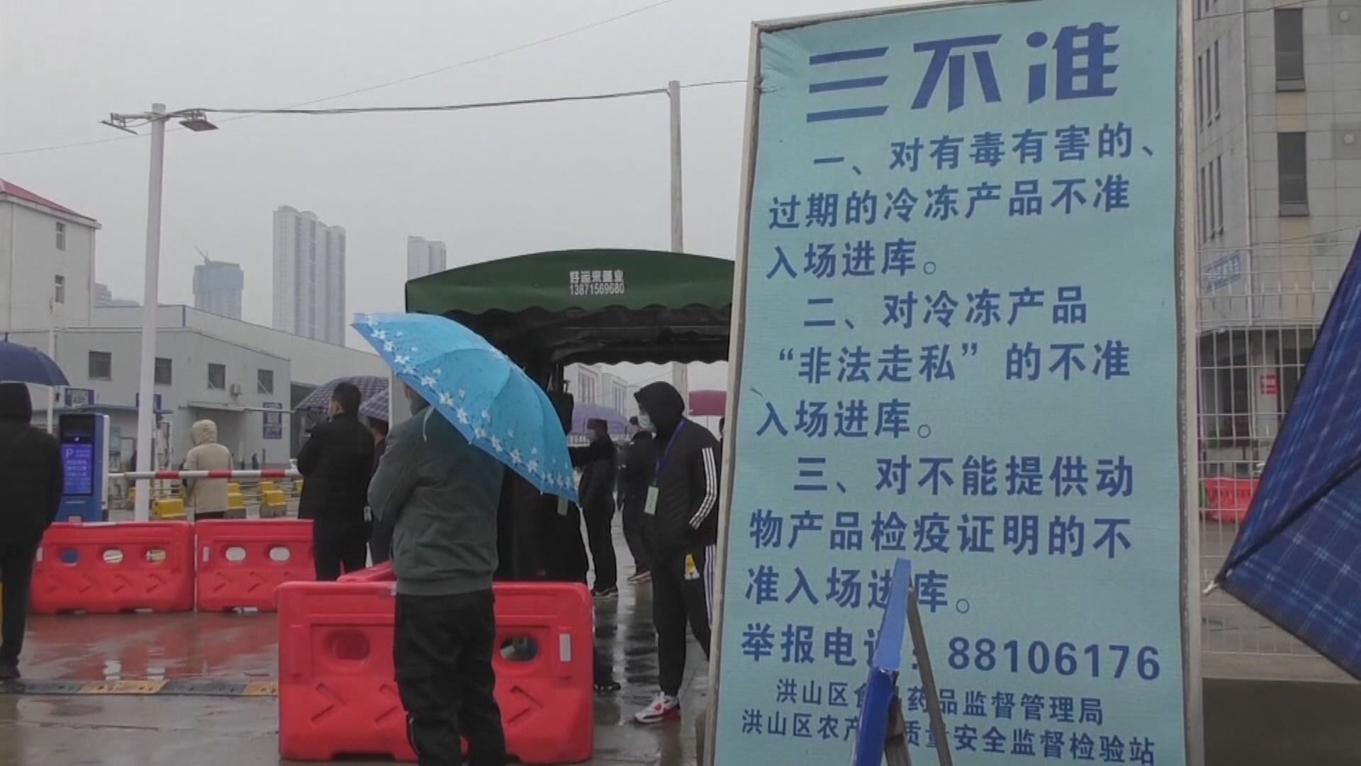 世衛專家組視察武漢白沙洲市場