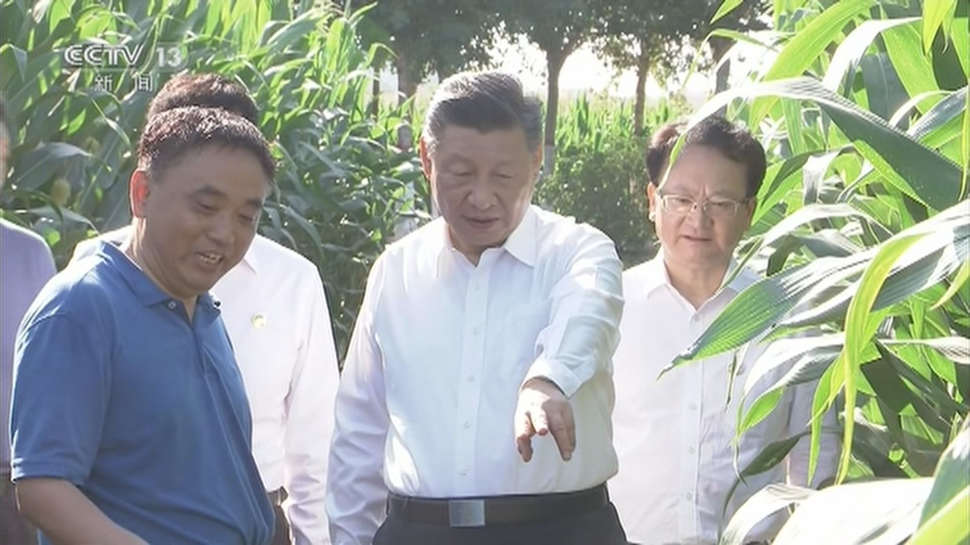 習近平考察調研安徽　視察受水災影響群眾