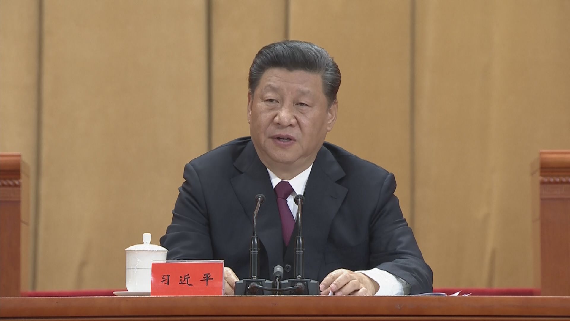 習近平：以實際行動和優異成績慶祝建黨100周年