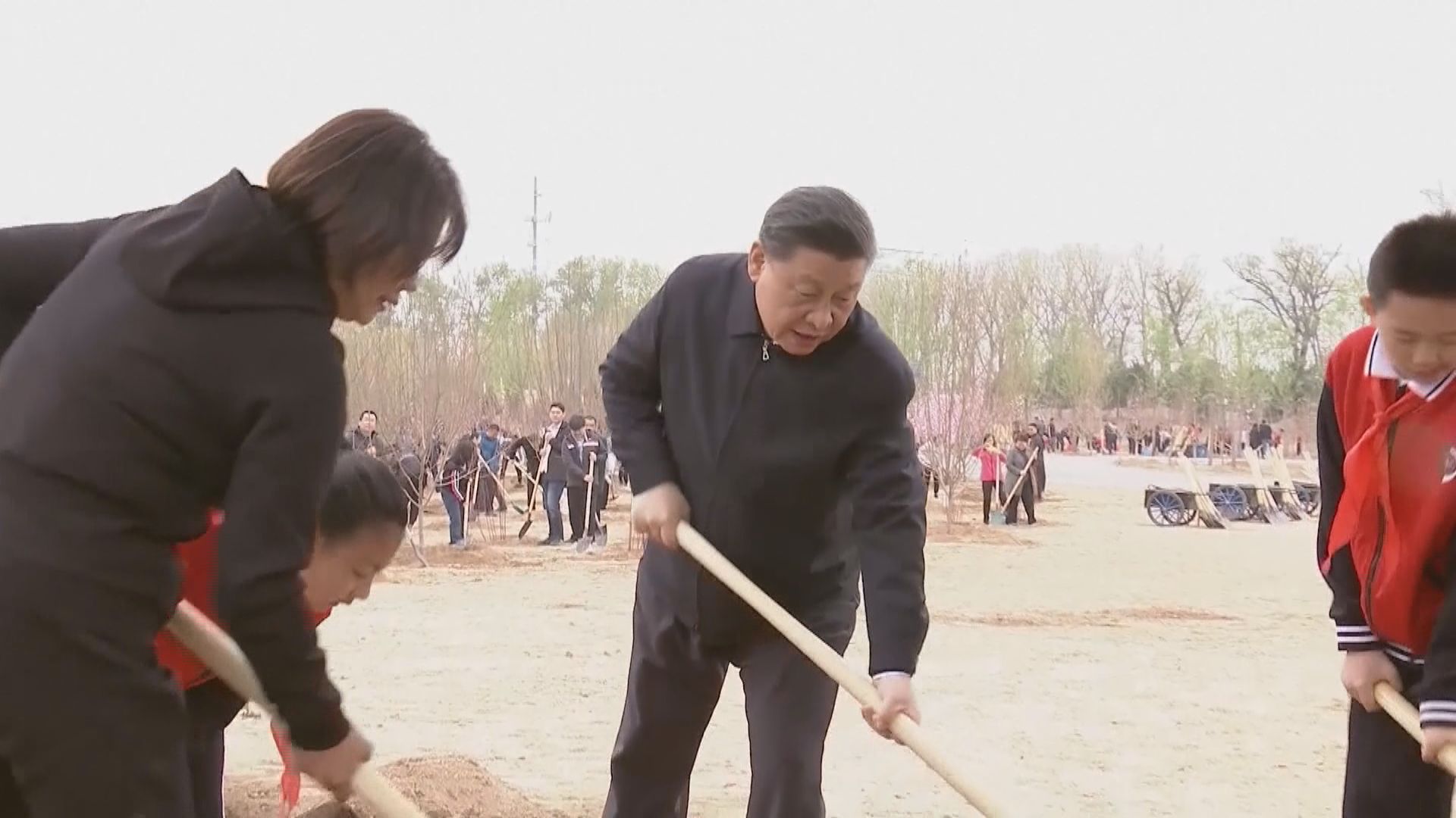 習近平在北京參加義務植樹活動