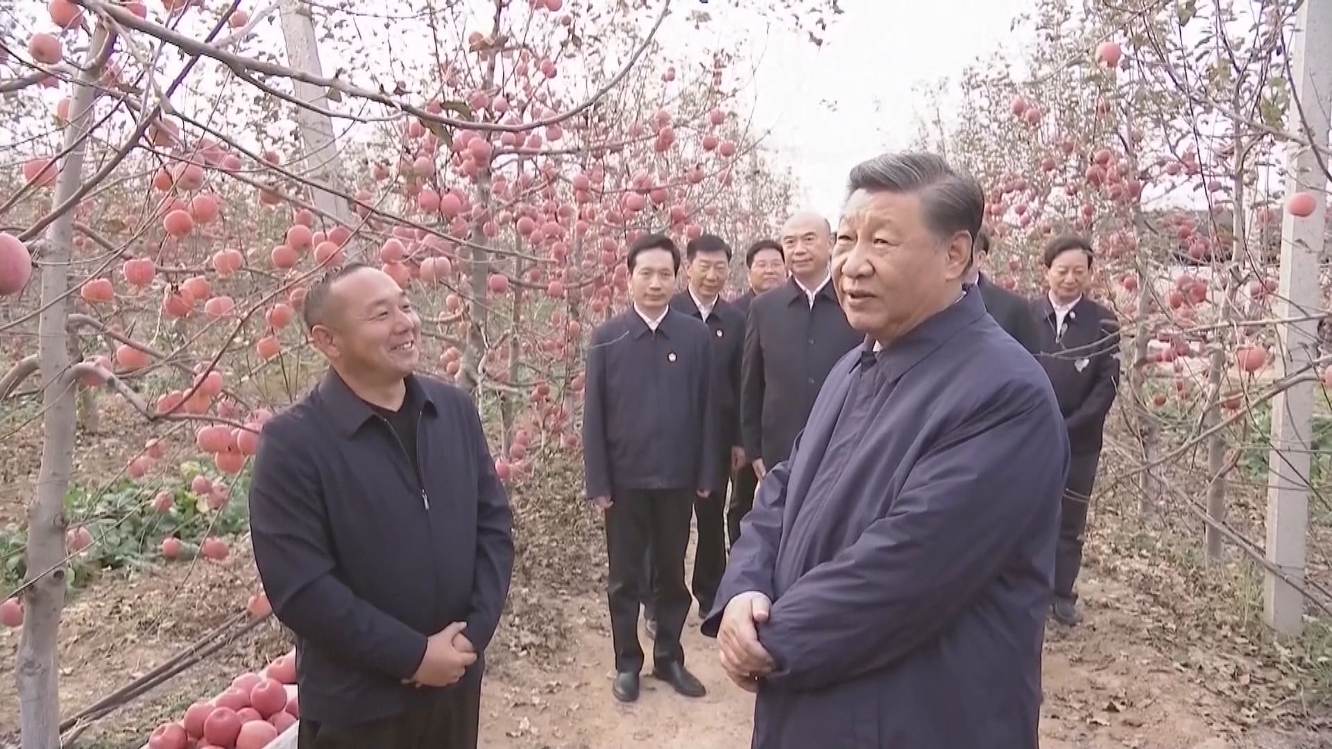 中共總書記習近平強調要全面推進鄉村振興