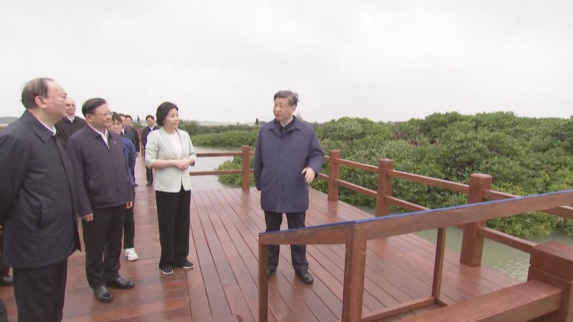 習近平到廣東湛江考察　了解海洋漁業發展等