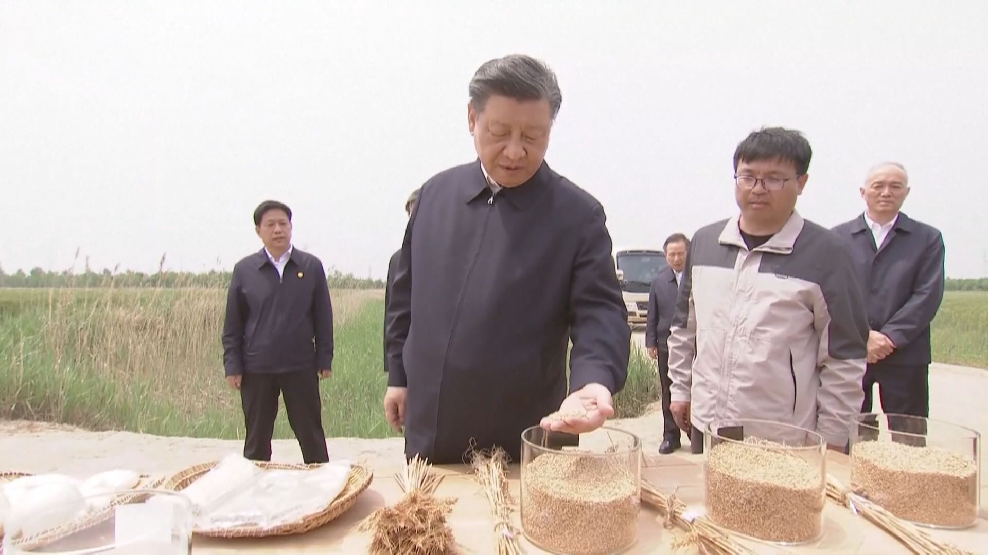 習近平到河北滄州考察調研