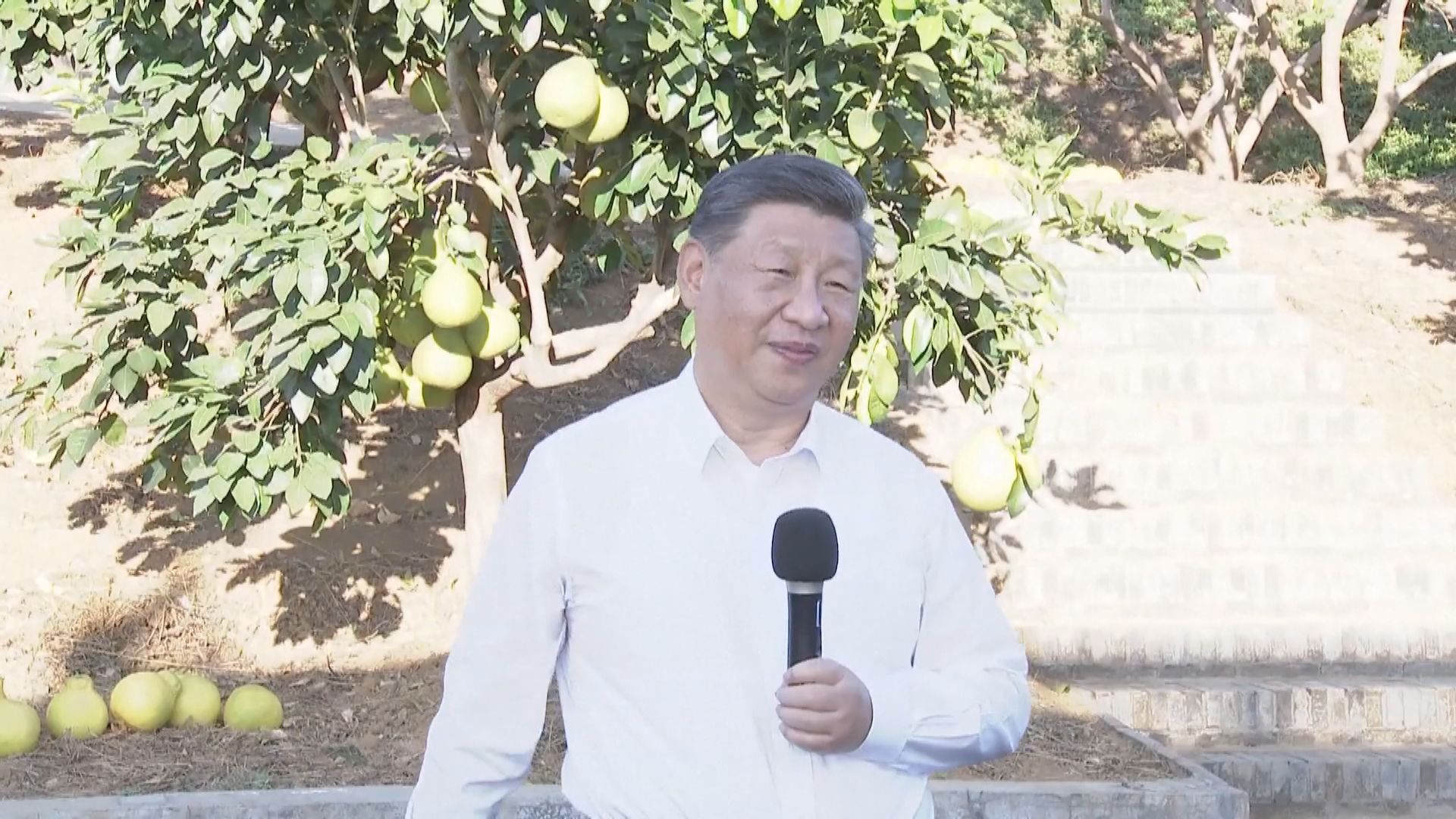 習近平到梅州、廣州考察調研　強調要推動粵港澳大灣區建設（林靜儀報道）