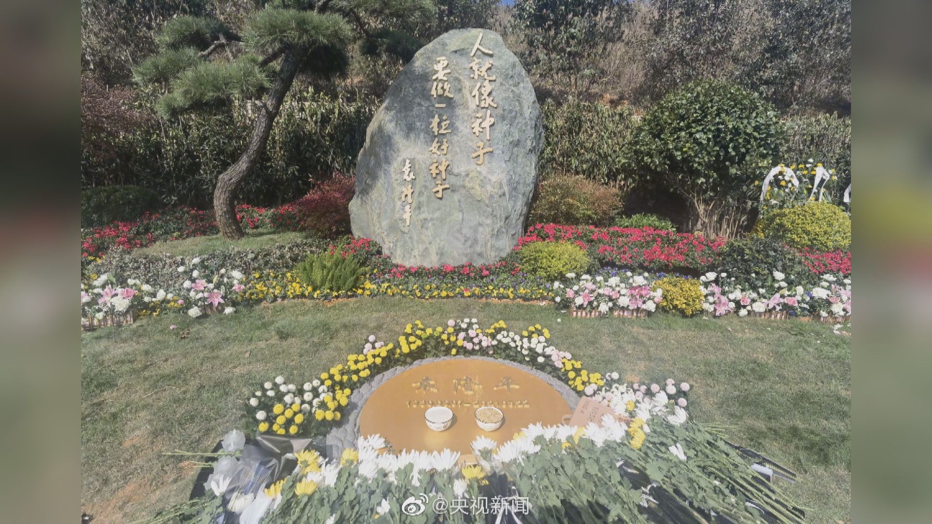 袁隆平骨灰安葬儀式在湖南長沙舉行