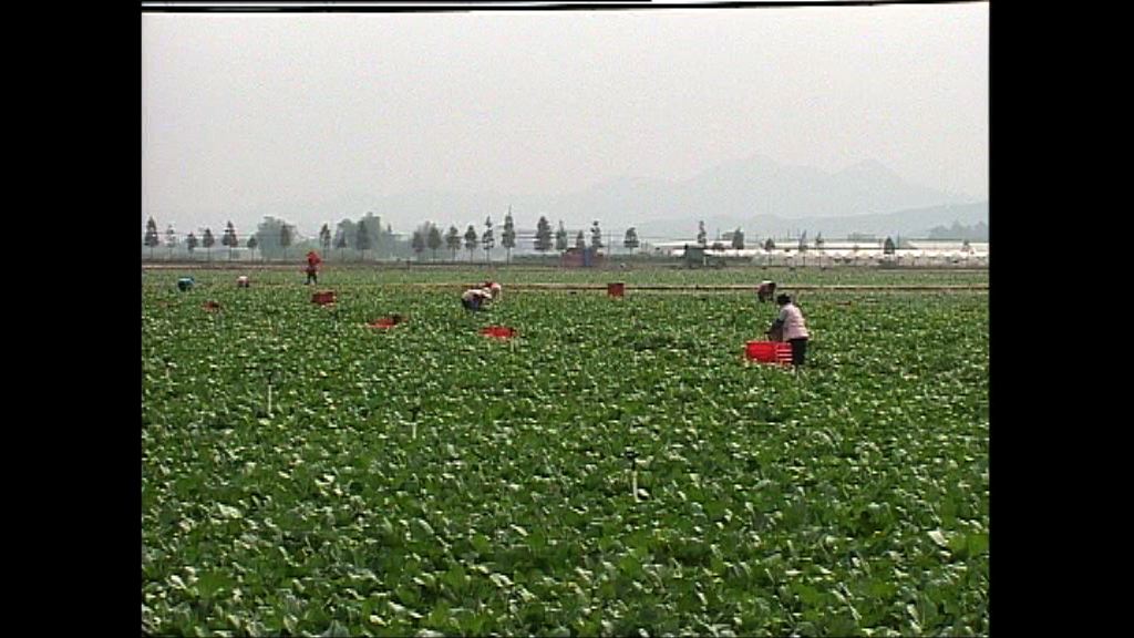 一號文件提出深入推進農業供給側改革