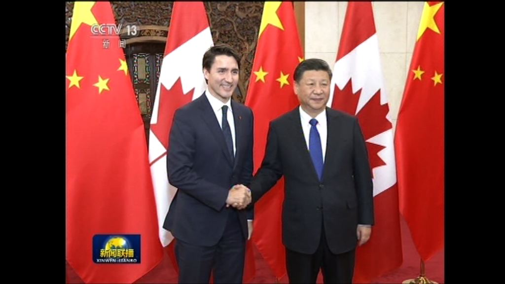 習近平晤杜魯多籲增進政治互信