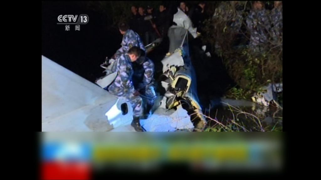 雀鳥撞擊殲-10戰機引擎致墜毀