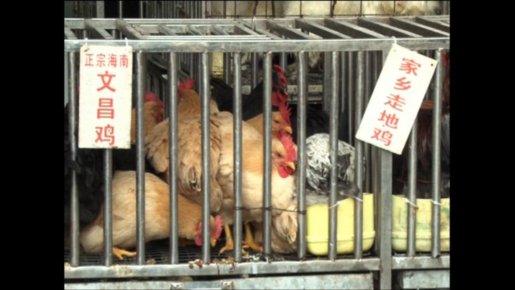 深圳H5N6患者上周三失救亡