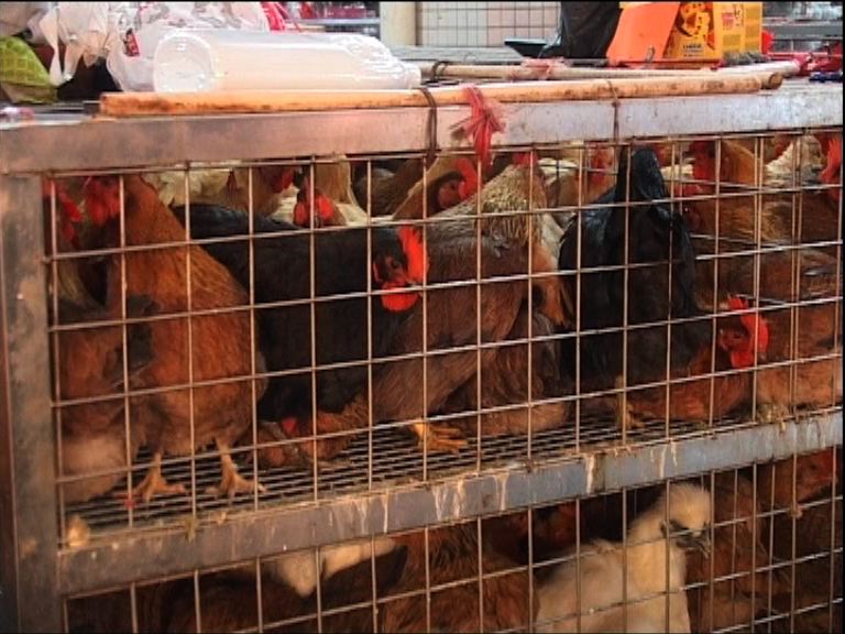 台灣提高上海江西等地旅遊警示