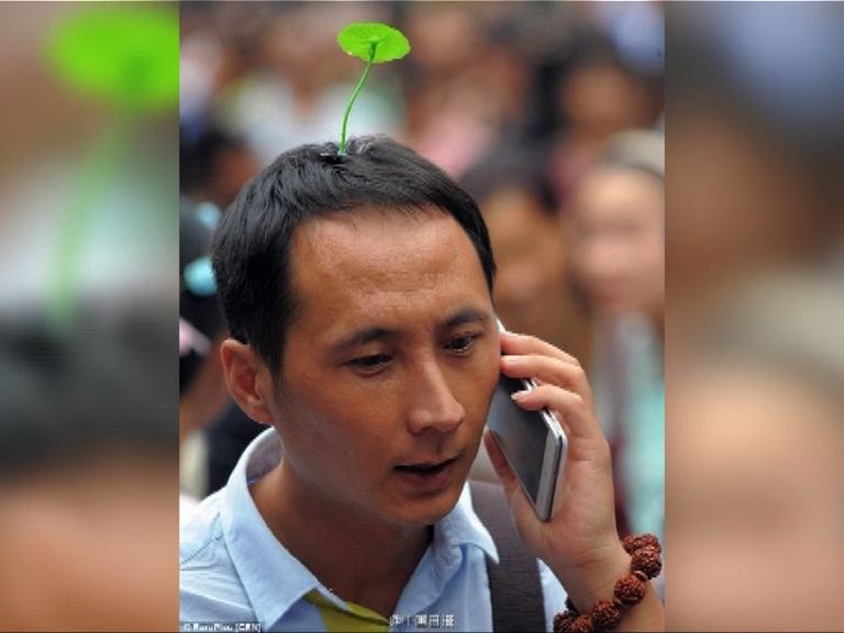 內地奇特小草髮夾受年輕人追捧