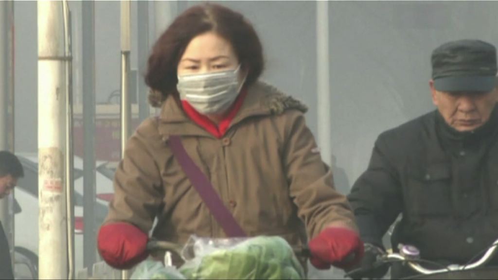 白鼠實驗證霧霾天氣可致肥胖