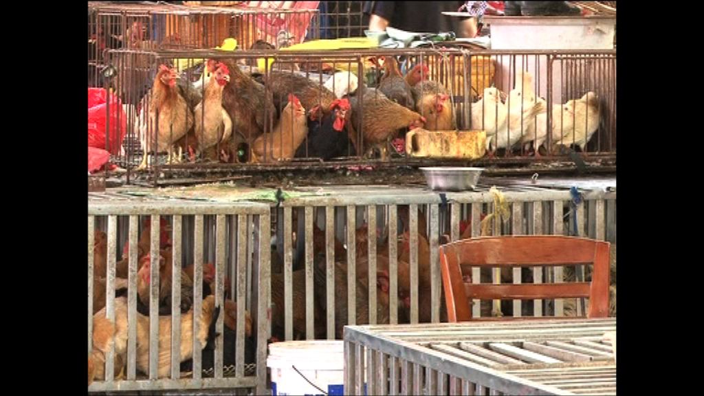 浙江因禽流感關閉活禽交易巿場