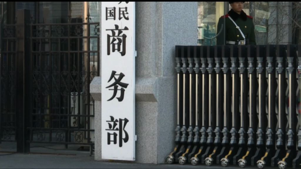 商務部：終止對美國高梁反傾銷反補貼調查