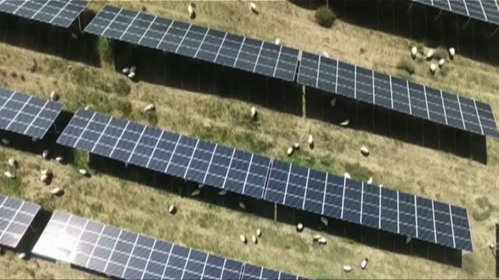 【長遠非壞事？】內地推光伏辣招或因補貼壓力大