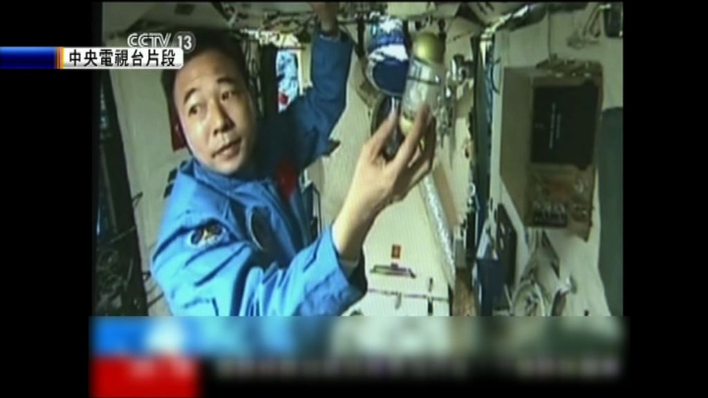 天宮太空實驗　蠶蟲開始吐絲結繭