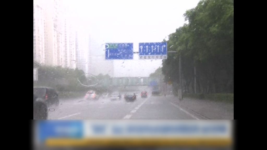 受苗柏影響深圳風勢明顯增強