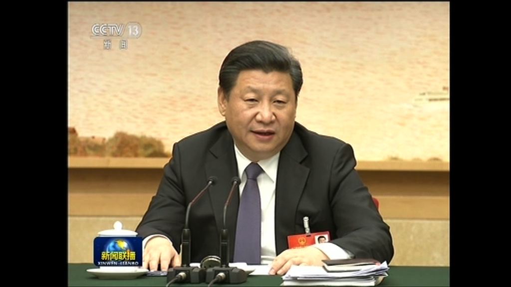 習近平：堅決反對任何台獨行徑