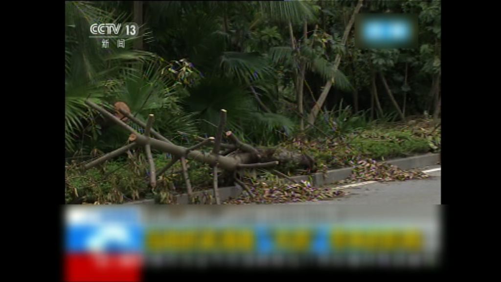 帕卡為廣東及廣西等地帶來大風雨