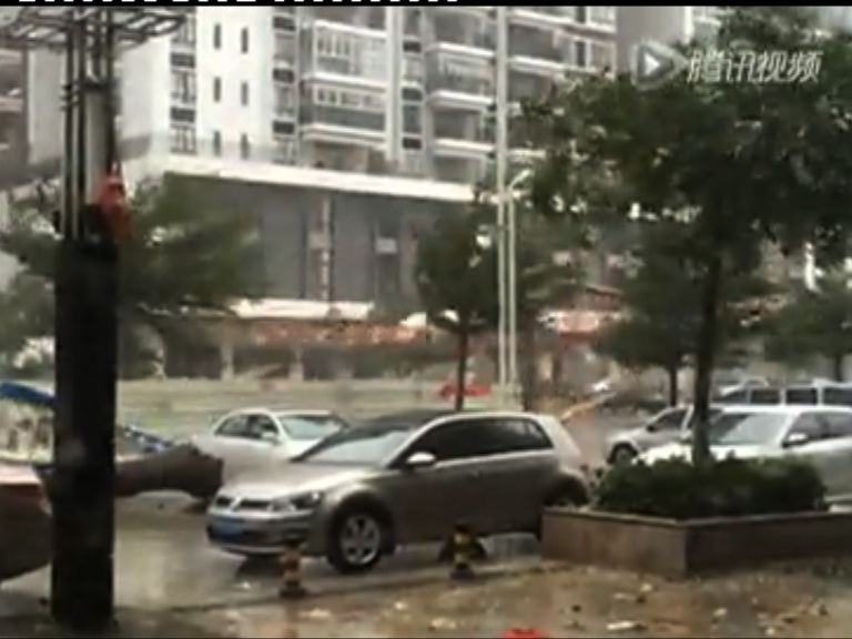 彩虹廣東湛江登陸帶來狂風暴雨