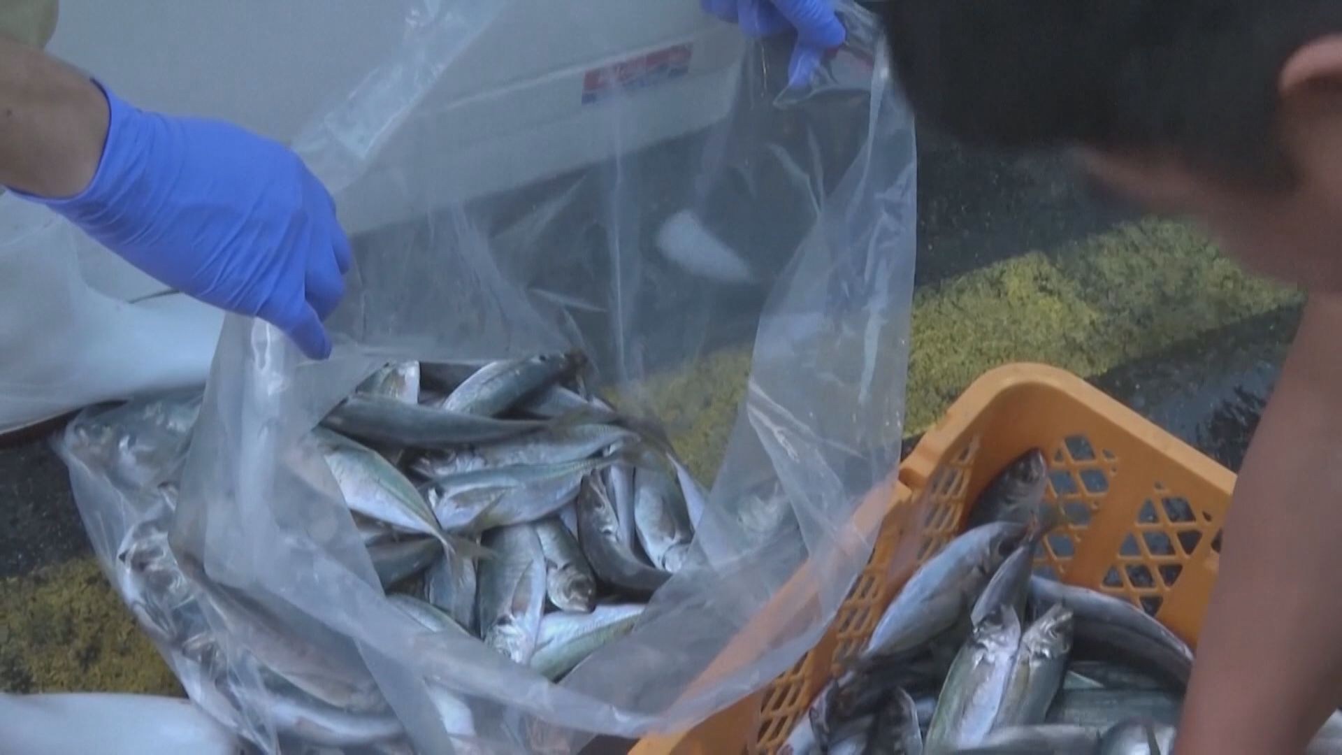 中日外交風波｜美︰中國封殺日本水產不正當　俄︰日本不反省自身錯誤