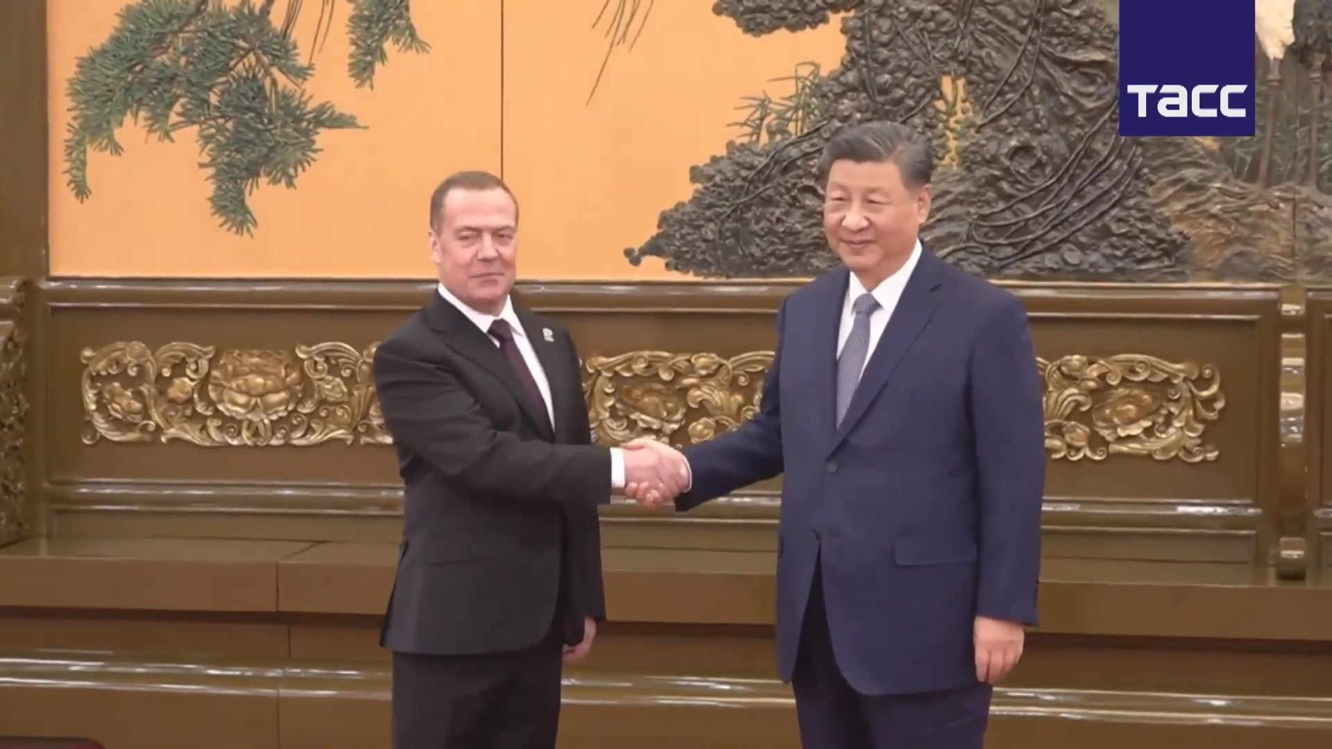 習近平晤俄羅斯執政黨主席梅德韋傑夫