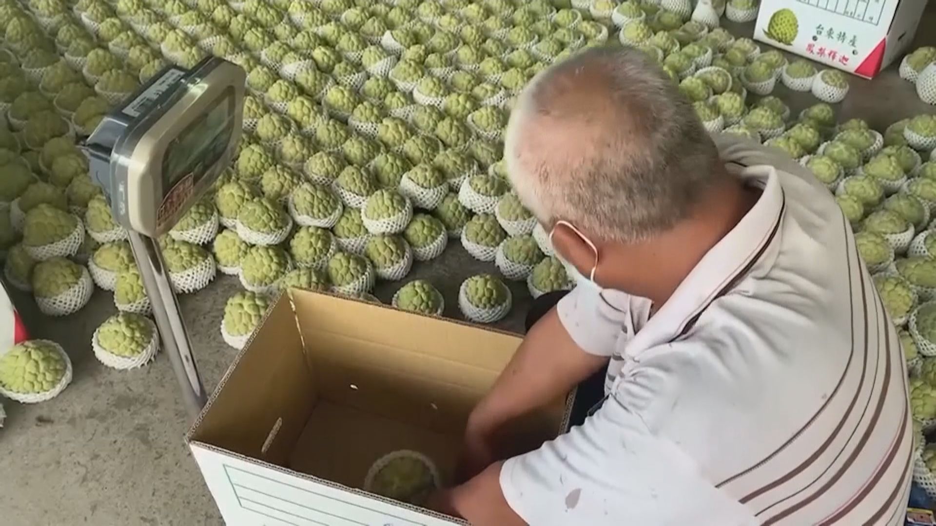 大陸恢復進口台灣番荔枝