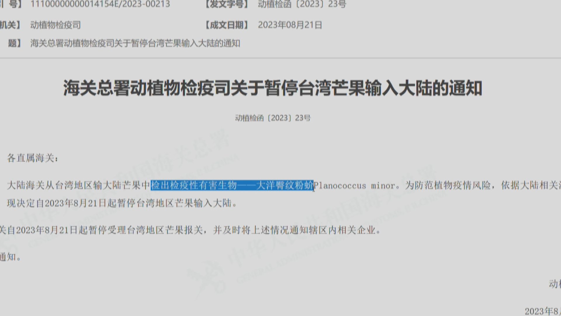 大陸暫停進口台灣芒果 台灣的農業部批不符國際規範