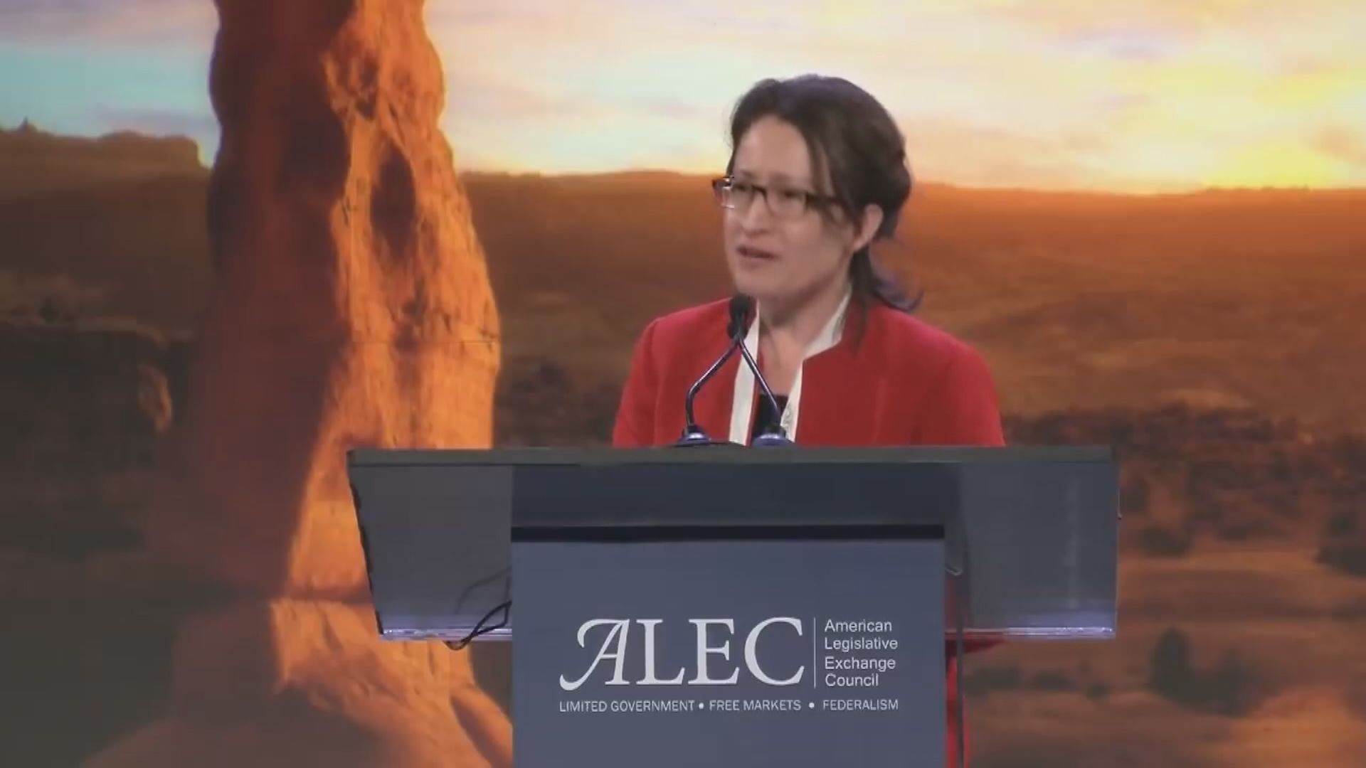 蕭美琴指多國議會擬派代表團訪問台灣