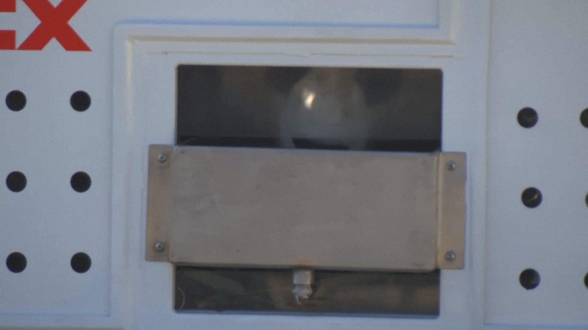 旅美大熊貓「美香」一家三口回國