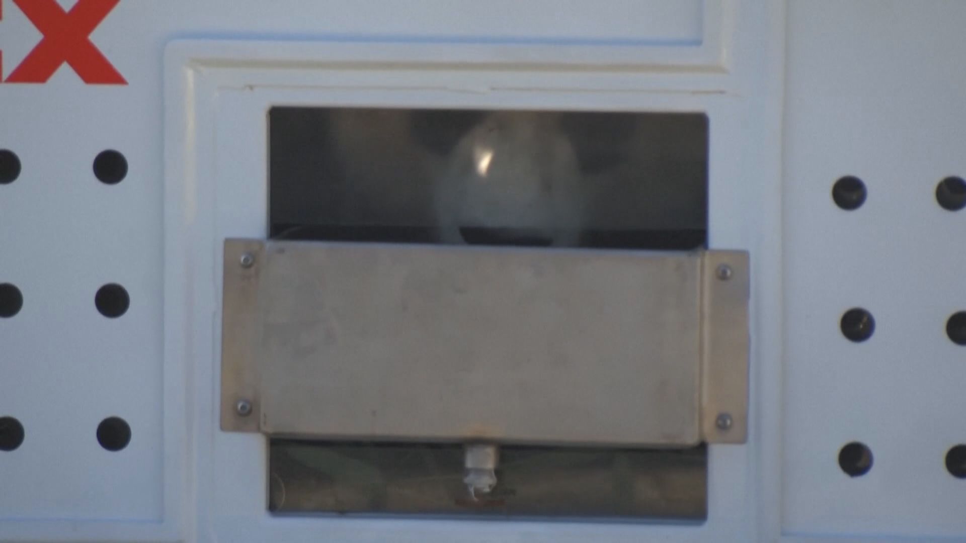 旅美大熊貓「美香」一家三口順利抵達成都